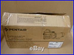 Pentair Dynamo 340210 1.5 HP SS Above Ground Pool Pump